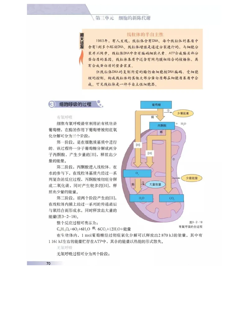 沪科版高中生物必修1《分子与细胞》电子课本_高中电子课本_6.高中生物课本_沪科版高中生物