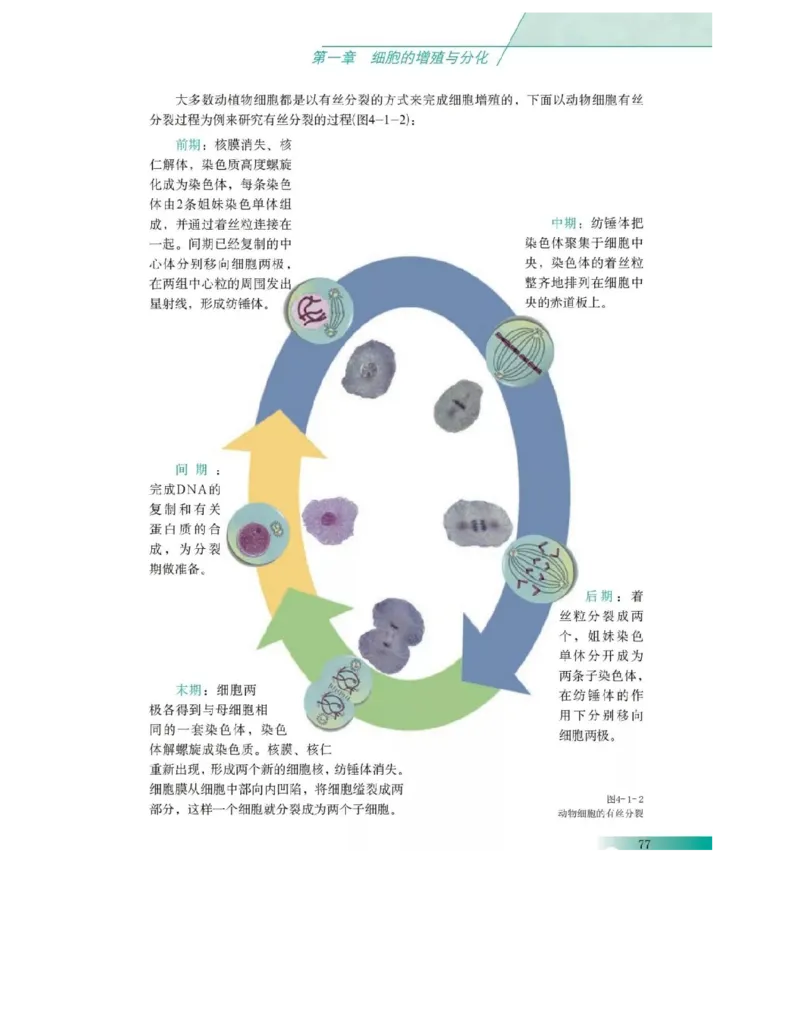 沪科版高中生物必修1《分子与细胞》电子课本_高中电子课本_6.高中生物课本_沪科版高中生物