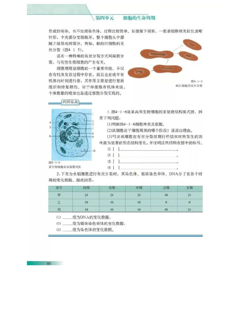 沪科版高中生物必修1《分子与细胞》电子课本_高中电子课本_6.高中生物课本_沪科版高中生物