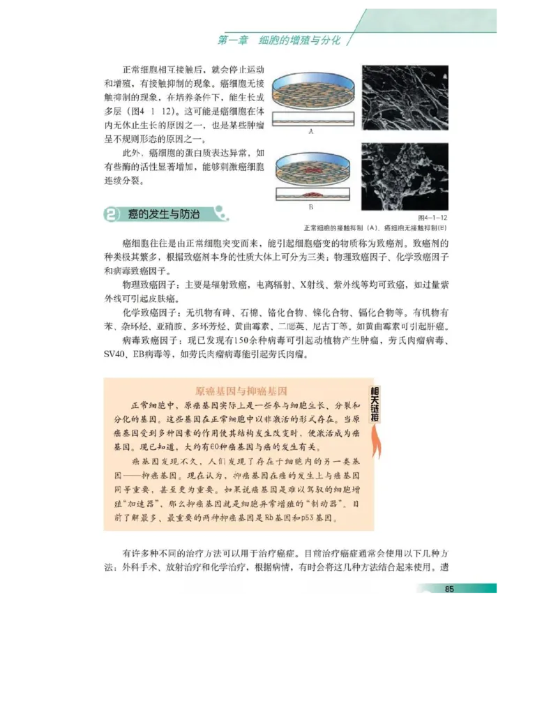 沪科版高中生物必修1《分子与细胞》电子课本_高中电子课本_6.高中生物课本_沪科版高中生物