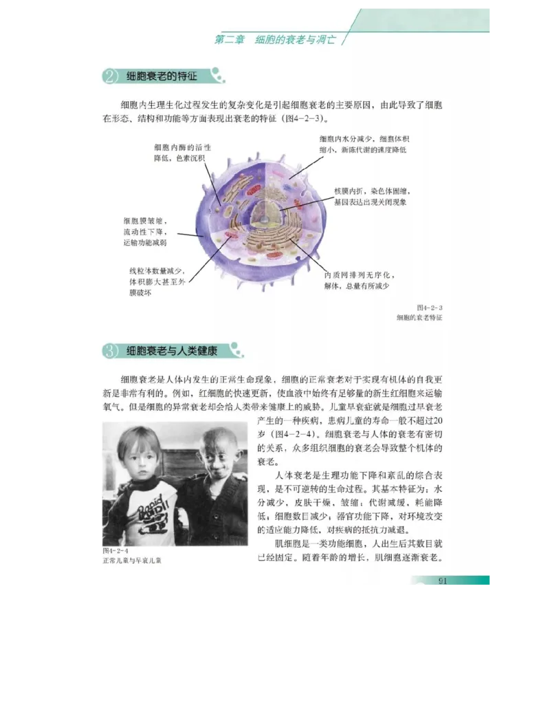 沪科版高中生物必修1《分子与细胞》电子课本_高中电子课本_6.高中生物课本_沪科版高中生物
