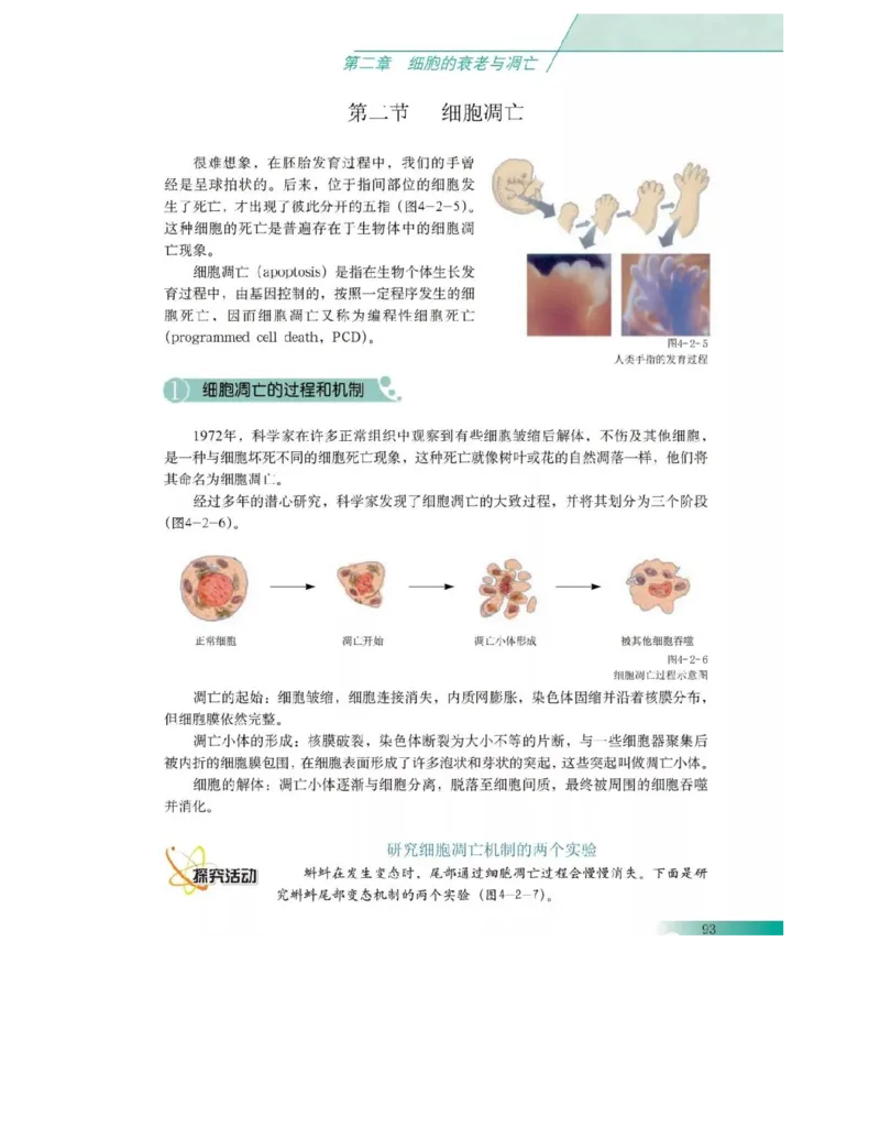 沪科版高中生物必修1《分子与细胞》电子课本_高中电子课本_6.高中生物课本_沪科版高中生物