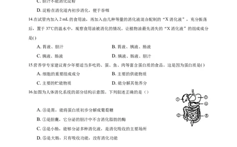 特训02选择题（20题）-（尖子生专用）（考试版）_初中全科电子版试卷练习试题_生物_生物人教版7下练习_人教生物7年级下专项练习16份