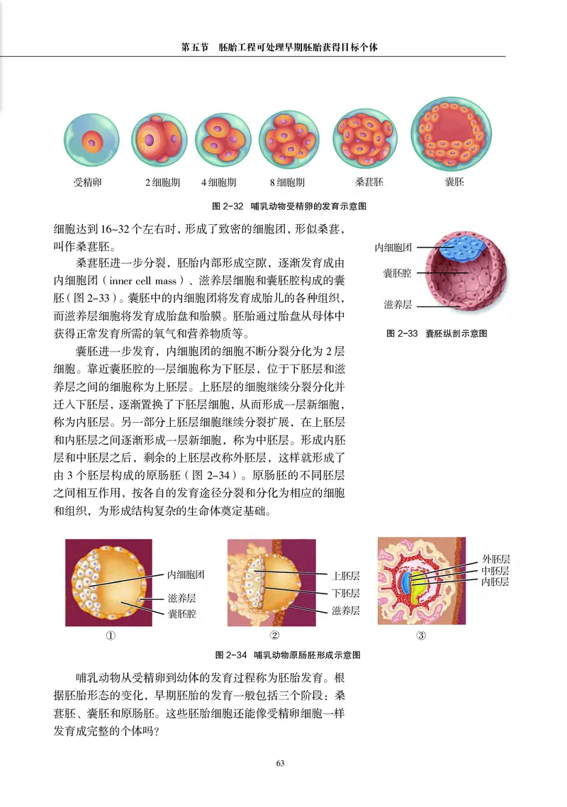 沪科教版生物选修3_高中电子课本_最新版高中全科高清电子课本_6高中生物课本_2019新沪科教版