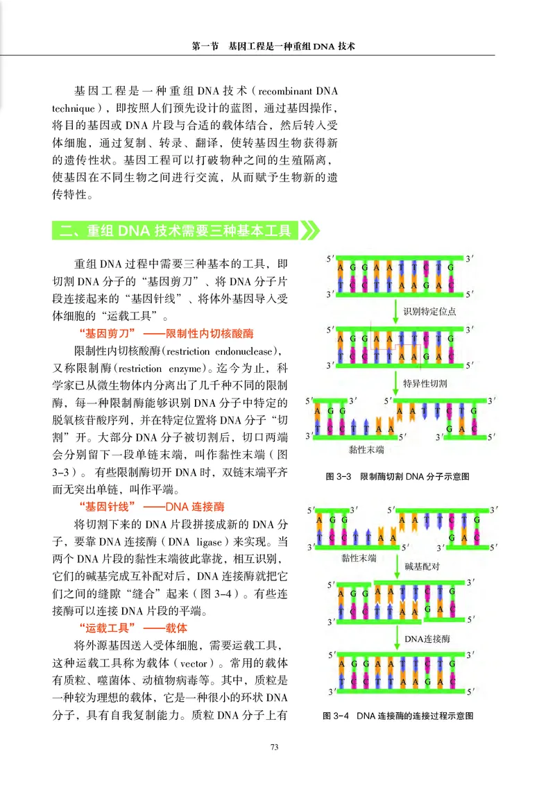 沪科教版生物选修3_高中电子课本_最新版高中全科高清电子课本_6高中生物课本_2019新沪科教版