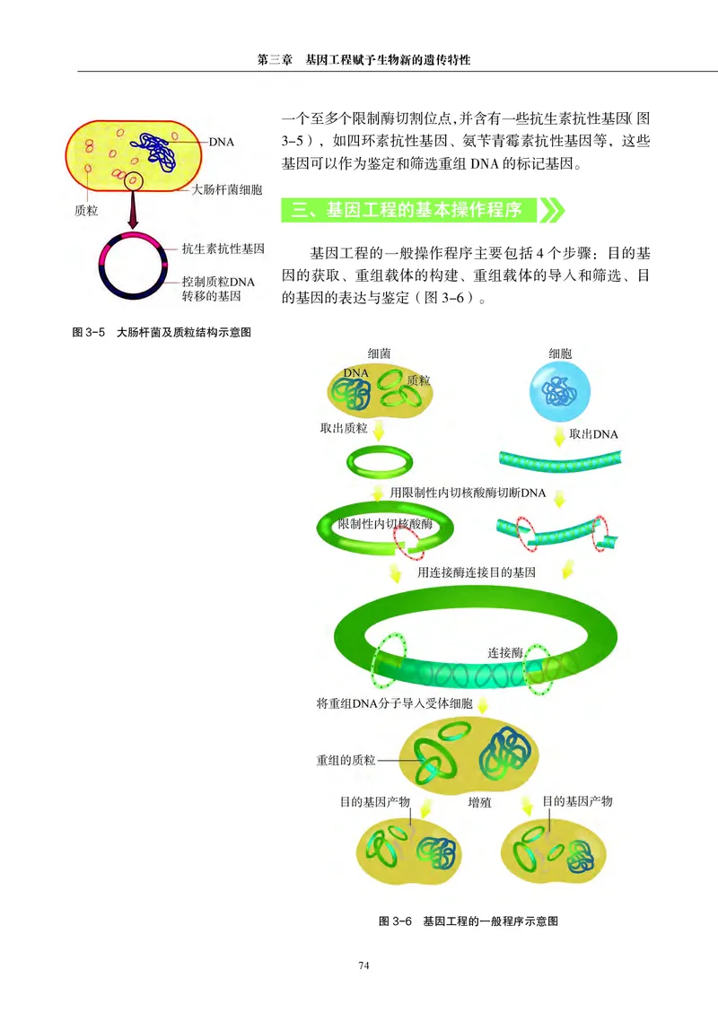 沪科教版生物选修3_高中电子课本_最新版高中全科高清电子课本_6高中生物课本_2019新沪科教版