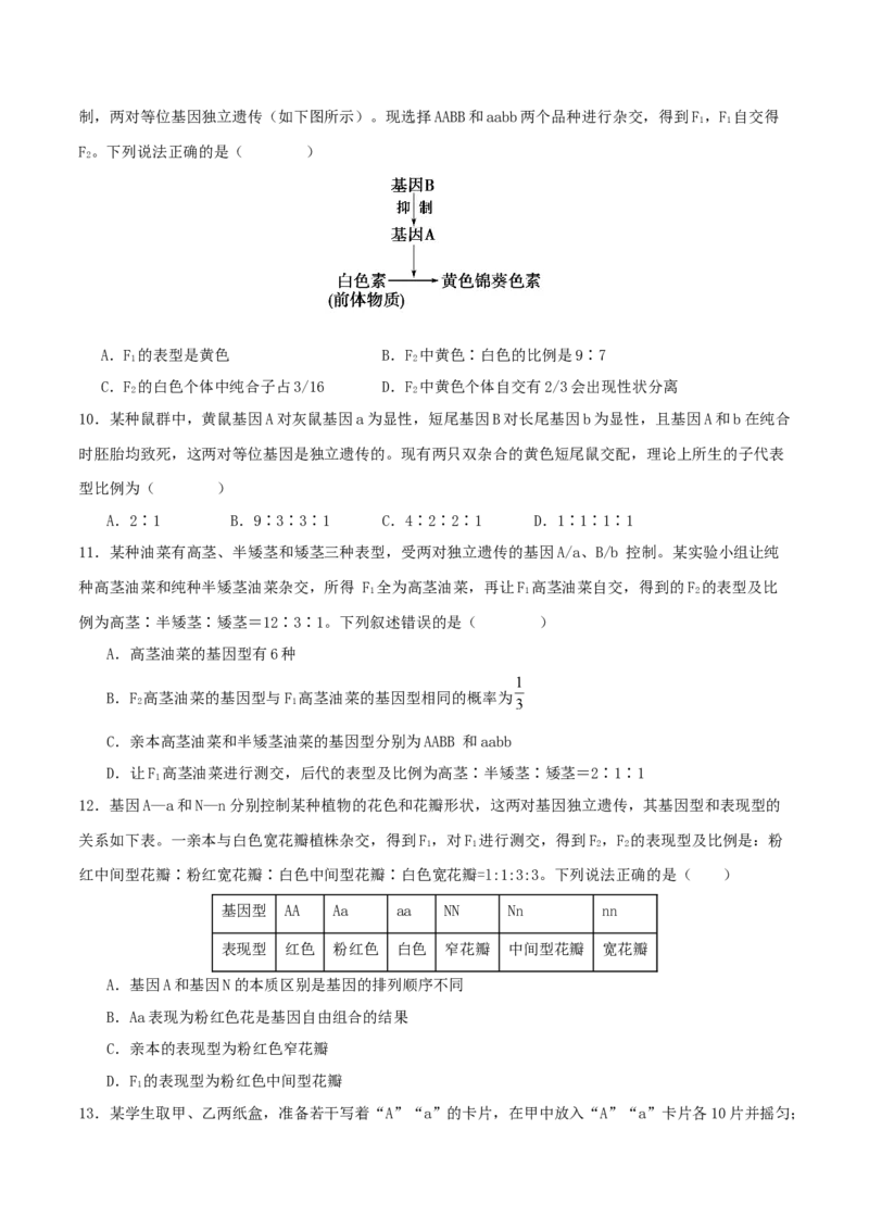 专题四遗传的基本规律和人类遗传病（原卷版）_2025年新高考资料_二轮复习_01高考语文等多个文件_上好课2025年高考生物二轮复习讲练测（新高考通用）