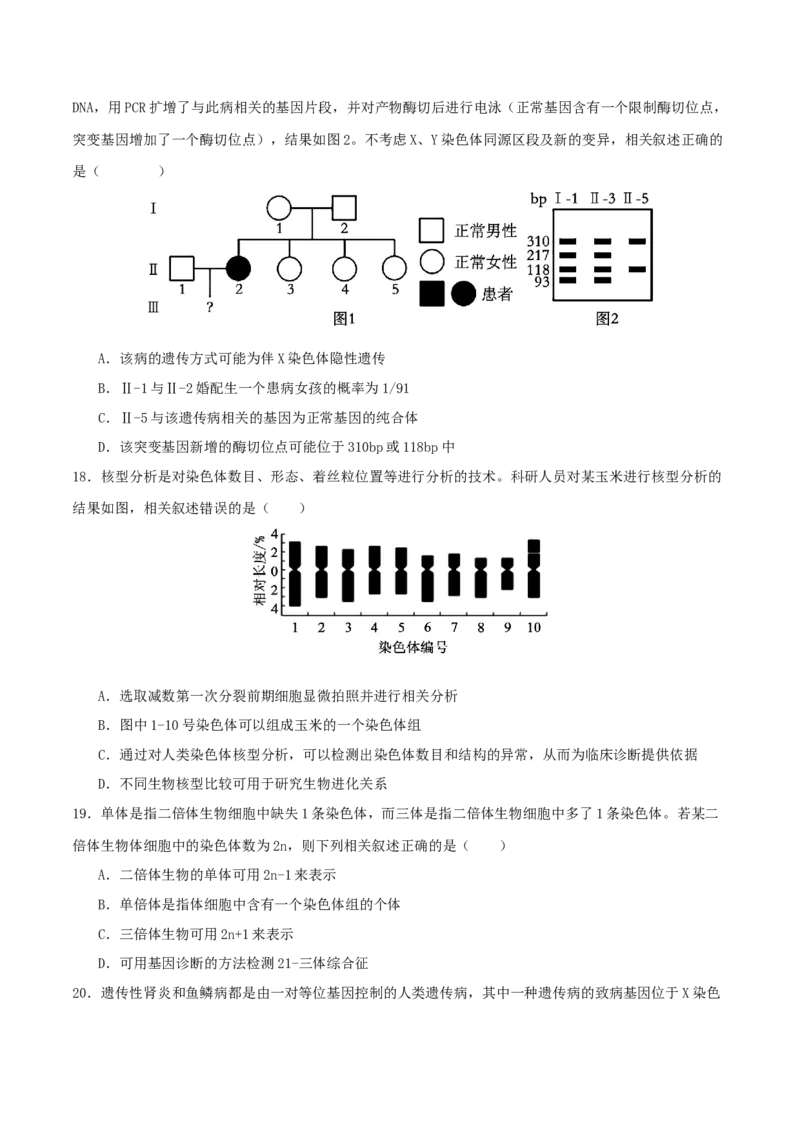专题四遗传的基本规律和人类遗传病（原卷版）_2025年新高考资料_二轮复习_01高考语文等多个文件_上好课2025年高考生物二轮复习讲练测（新高考通用）