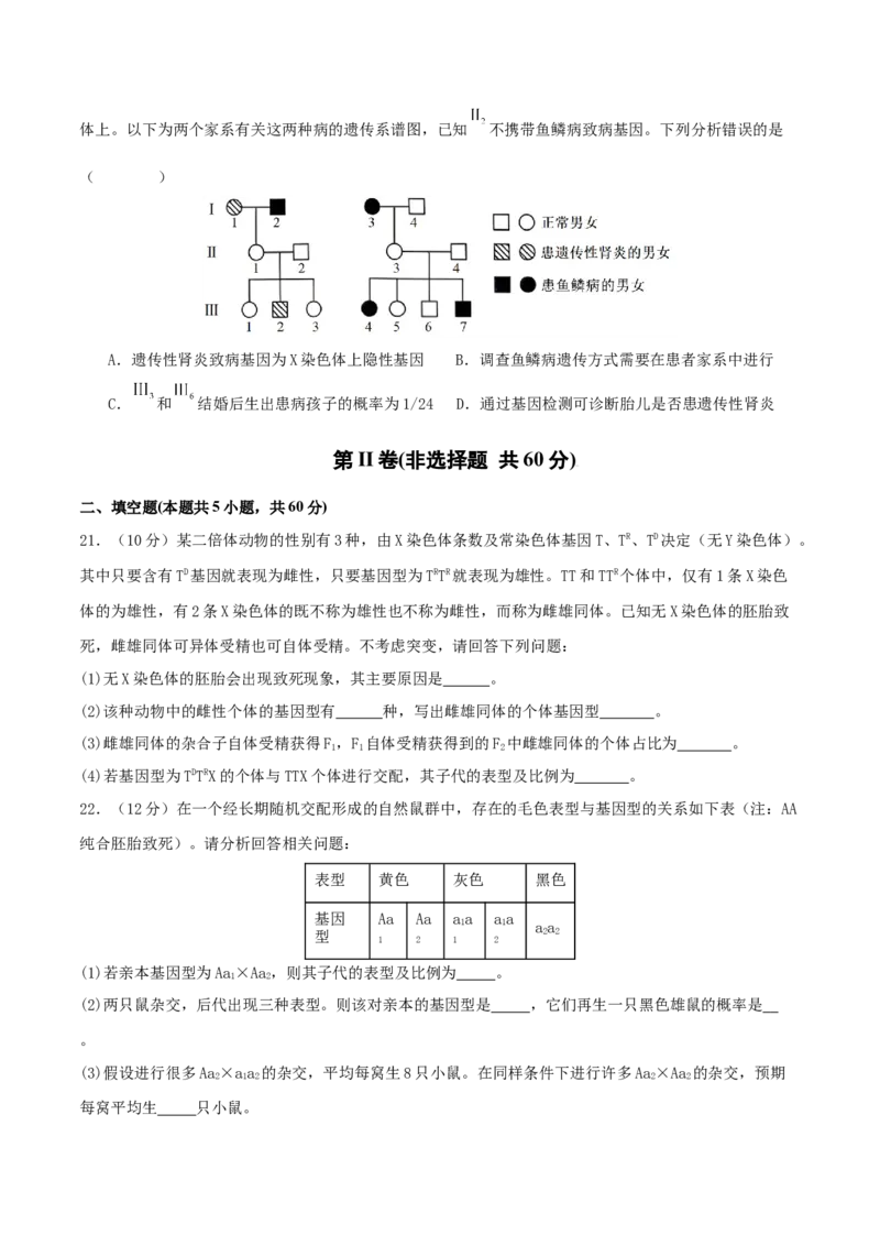 专题四遗传的基本规律和人类遗传病（原卷版）_2025年新高考资料_二轮复习_01高考语文等多个文件_上好课2025年高考生物二轮复习讲练测（新高考通用）