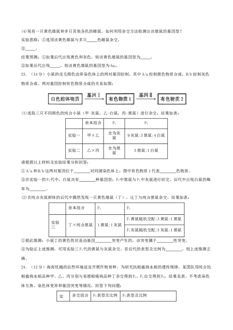 专题四遗传的基本规律和人类遗传病（原卷版）_2025年新高考资料_二轮复习_01高考语文等多个文件_上好课2025年高考生物二轮复习讲练测（新高考通用）