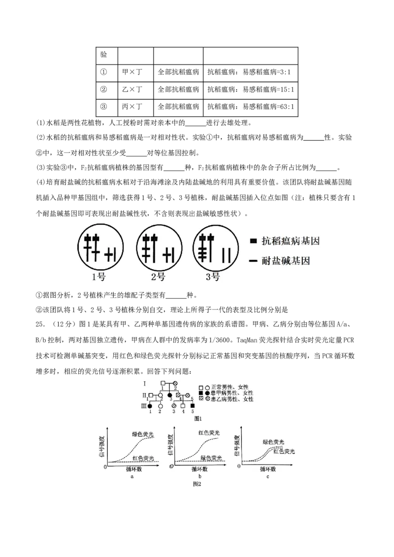 专题四遗传的基本规律和人类遗传病（原卷版）_2025年新高考资料_二轮复习_01高考语文等多个文件_上好课2025年高考生物二轮复习讲练测（新高考通用）