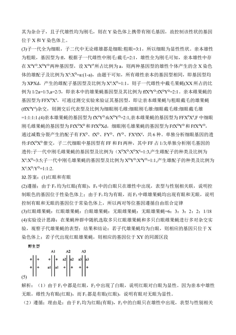 专题九伴性遗传和人类遗传病（有解析）&mdash;&mdash;2025届高考生物考点剖析_2025年新高考资料_一轮复习_2025届高考生物一轮复习考点剖析练习（有解析）