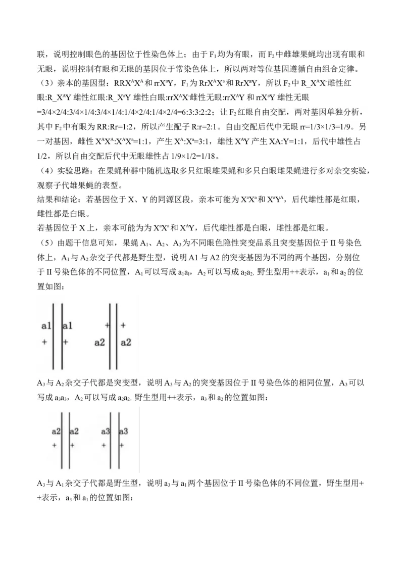 专题九伴性遗传和人类遗传病（有解析）&mdash;&mdash;2025届高考生物考点剖析_2025年新高考资料_一轮复习_2025届高考生物一轮复习考点剖析练习（有解析）