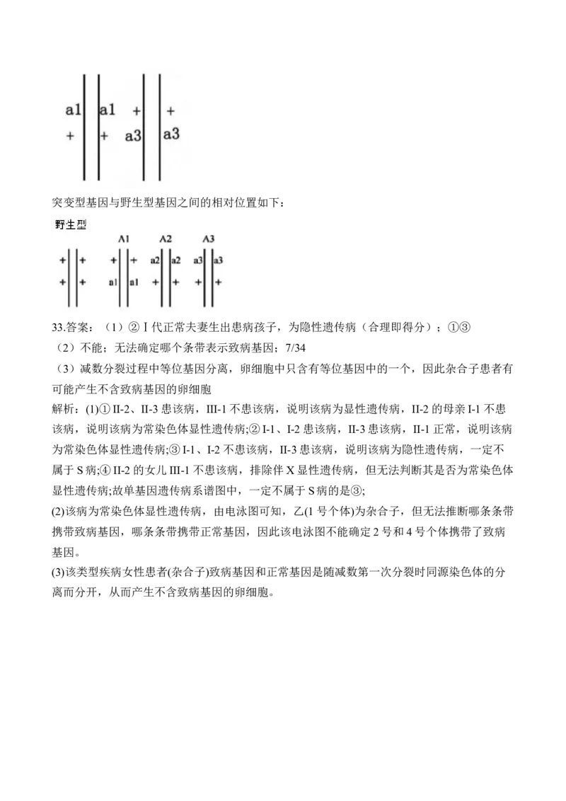专题九伴性遗传和人类遗传病（有解析）&mdash;&mdash;2025届高考生物考点剖析_2025年新高考资料_一轮复习_2025届高考生物一轮复习考点剖析练习（有解析）