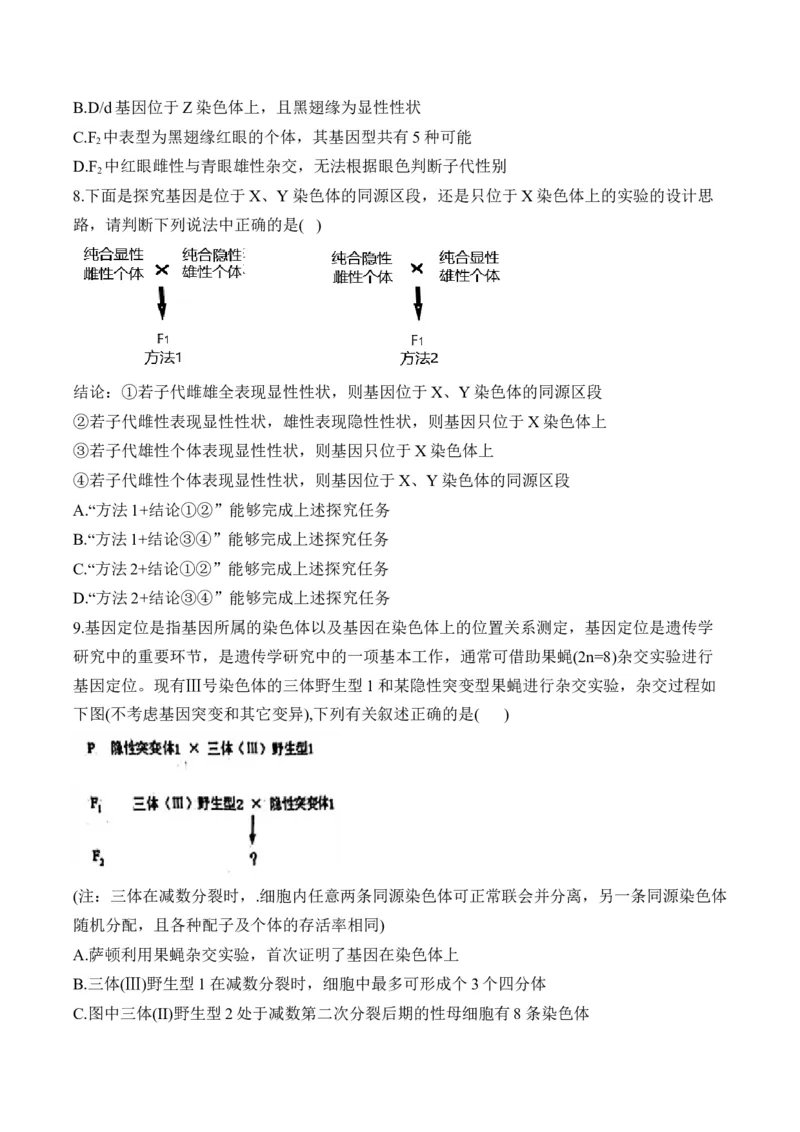 专题九伴性遗传和人类遗传病（有解析）&mdash;&mdash;2025届高考生物考点剖析_2025年新高考资料_一轮复习_2025届高考生物一轮复习考点剖析练习（有解析）