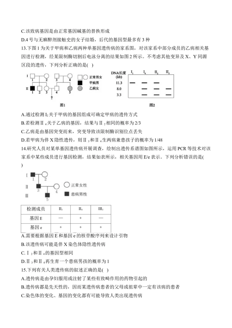 专题九伴性遗传和人类遗传病（有解析）&mdash;&mdash;2025届高考生物考点剖析_2025年新高考资料_一轮复习_2025届高考生物一轮复习考点剖析练习（有解析）
