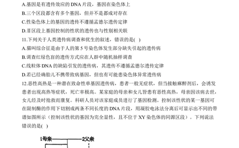 专题九伴性遗传和人类遗传病（有解析）&mdash;&mdash;2025届高考生物考点剖析_2025年新高考资料_一轮复习_2025届高考生物一轮复习考点剖析练习（有解析）