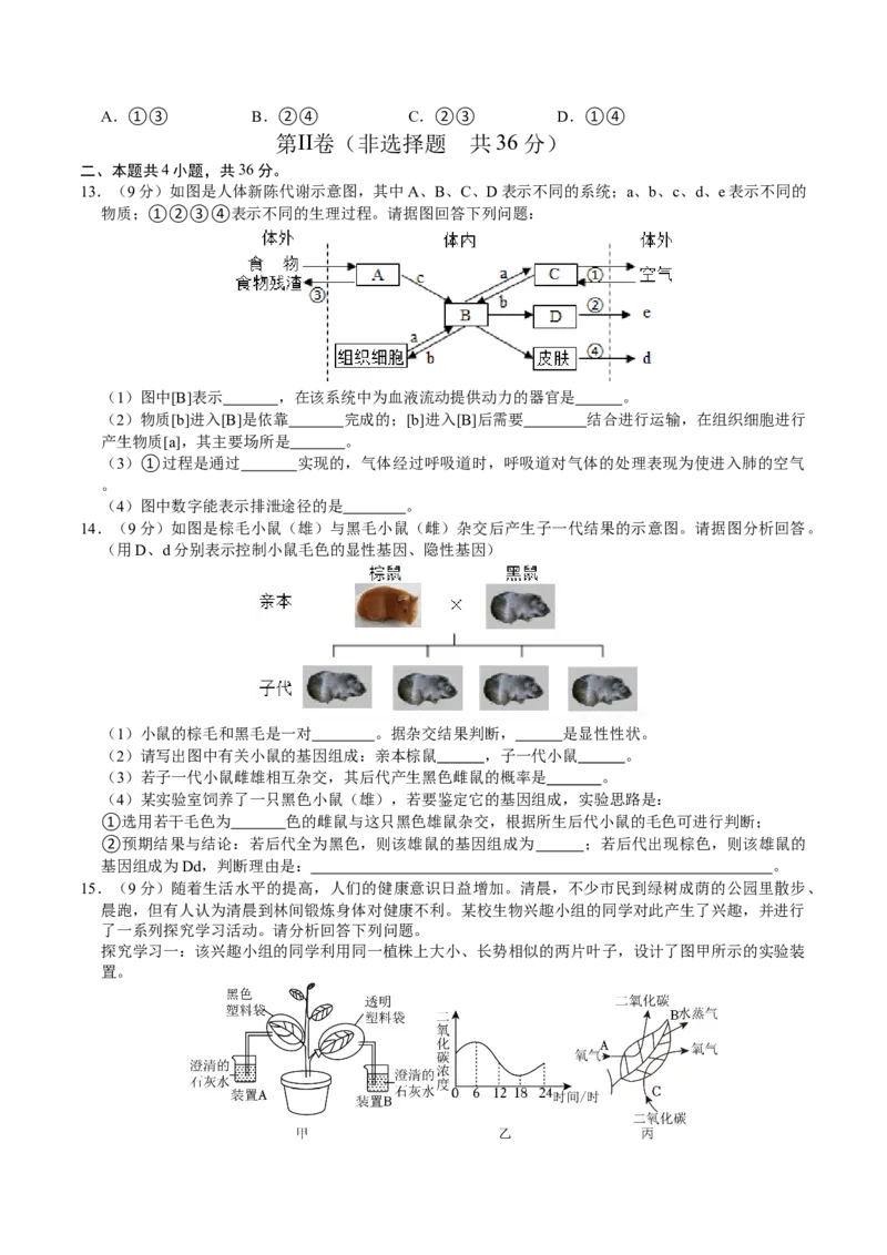 生物（贵阳卷）（考试版A4）_初中全科电子版试卷练习试题_生物_2024中考模拟题生物(1)_三模（37套）_生物（贵州贵阳卷）