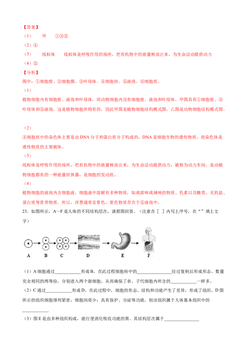 期末测试卷01-（人教版）（解析版）_初中全科电子版试卷练习试题_生物_生物人教版7上练习&mdash;24新版已更新_人教生物7年级上期末试卷11份