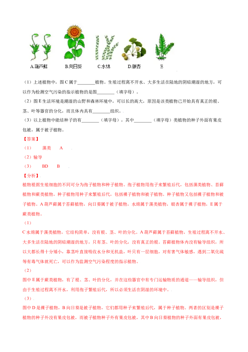期末测试卷01-（人教版）（解析版）_初中全科电子版试卷练习试题_生物_生物人教版7上练习&mdash;24新版已更新_人教生物7年级上期末试卷11份