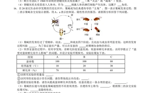 生物（贵阳卷）（考试版A4）_初中全科电子版试卷练习试题_生物_2024中考模拟题生物(1)_二模_生物（贵阳卷）-：2024年中考第二次模拟考试