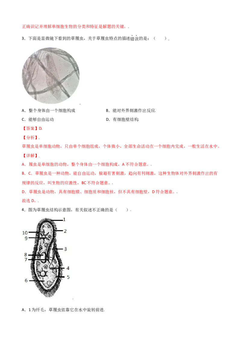 必考点13单细胞生物-（人教版）（解析版）_初中全科电子版试卷练习试题_生物_生物人教版7上练习&mdash;24新版已更新_人教生物7年级上专项练习28份