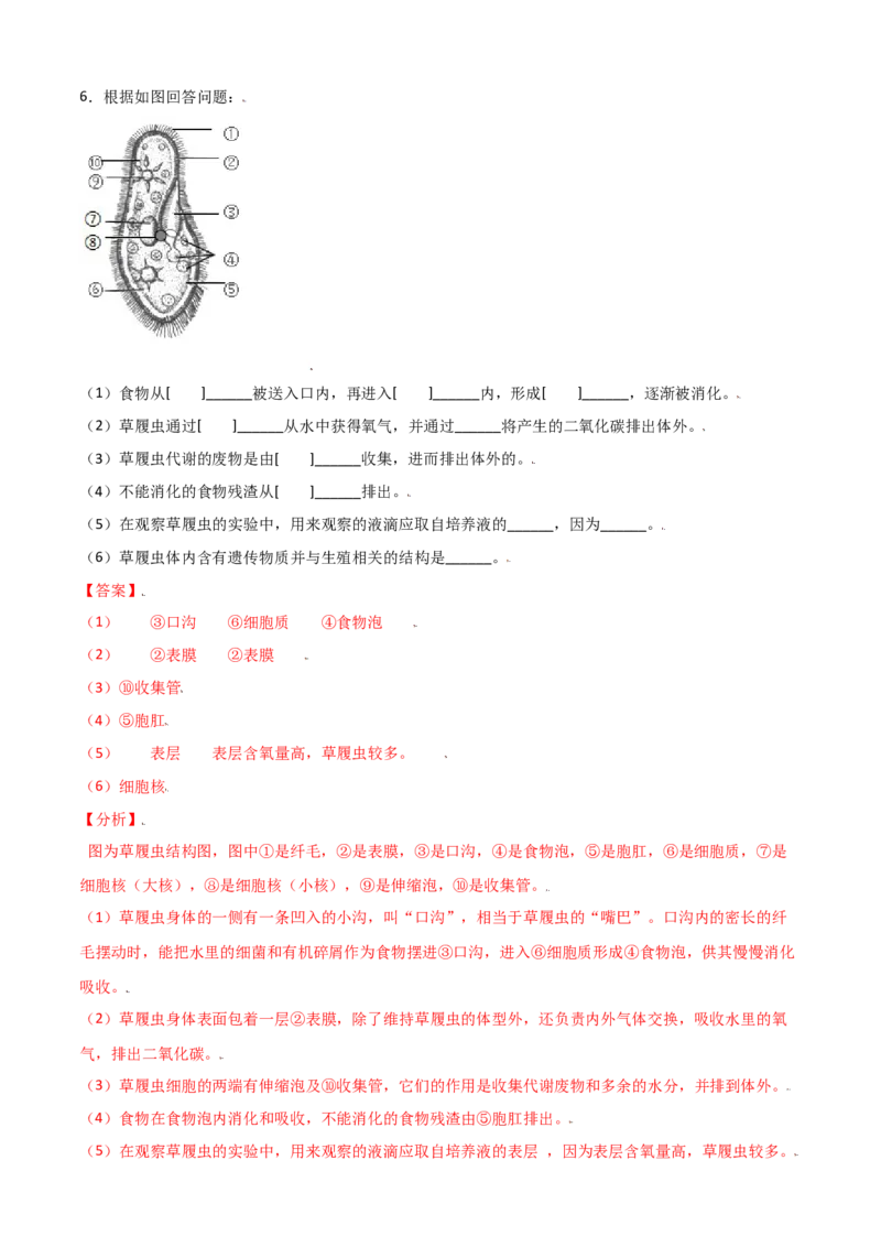 必考点13单细胞生物-（人教版）（解析版）_初中全科电子版试卷练习试题_生物_生物人教版7上练习&mdash;24新版已更新_人教生物7年级上专项练习28份