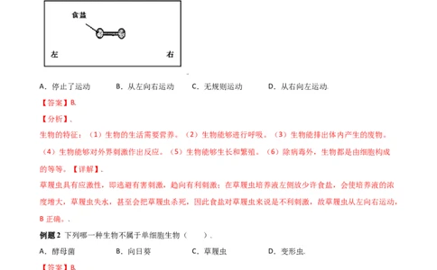 必考点13单细胞生物-（人教版）（解析版）_初中全科电子版试卷练习试题_生物_生物人教版7上练习&mdash;24新版已更新_人教生物7年级上专项练习28份
