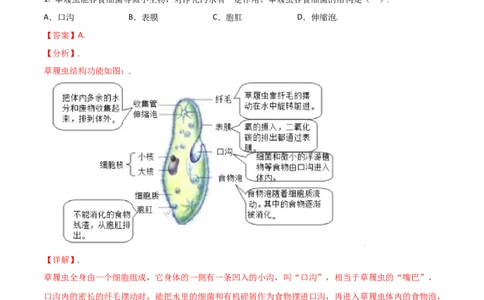 必考点13单细胞生物-（人教版）（解析版）_初中全科电子版试卷练习试题_生物_生物人教版7上练习&mdash;24新版已更新_人教生物7年级上专项练习28份