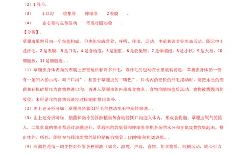 必考点13单细胞生物-（人教版）（解析版）_初中全科电子版试卷练习试题_生物_生物人教版7上练习&mdash;24新版已更新_人教生物7年级上专项练习28份