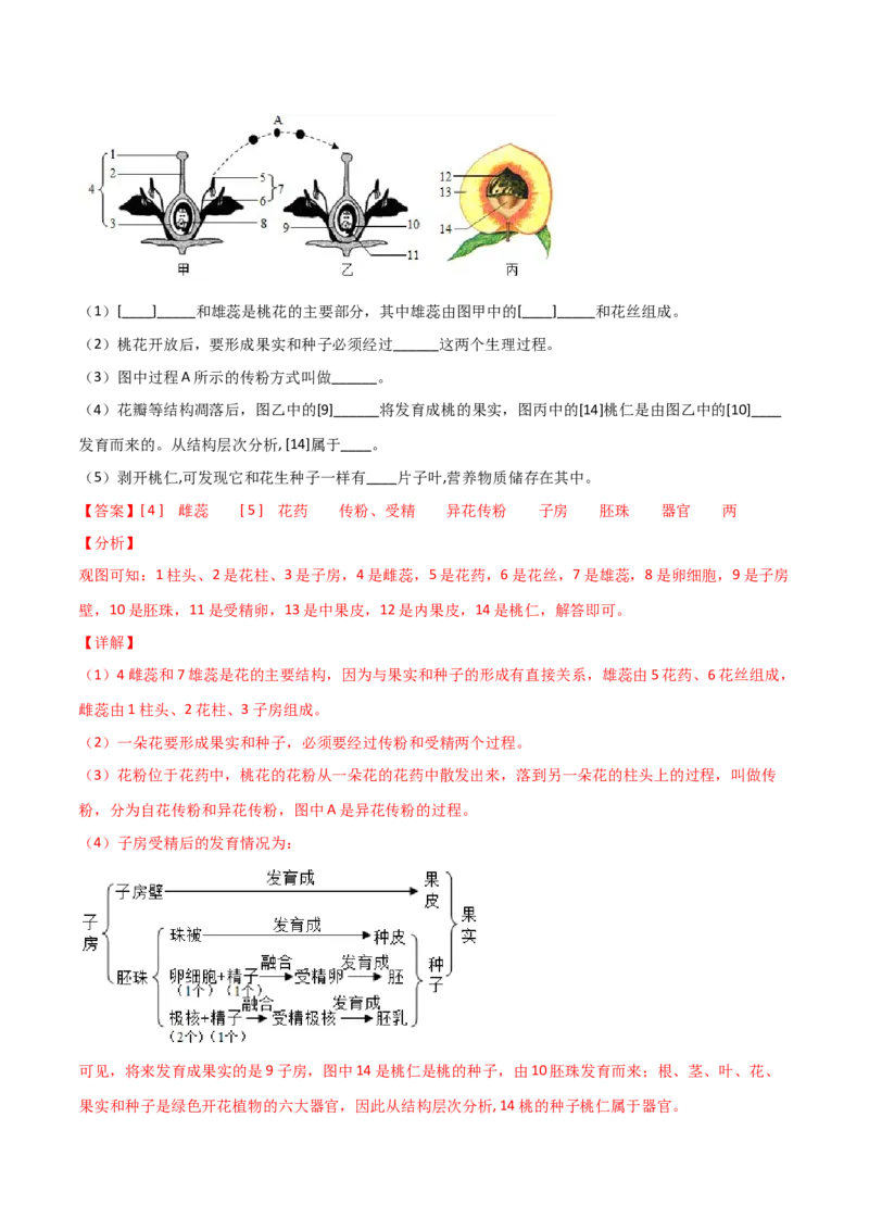 期末测试（A卷&middot;夯实基础）（解析版）_初中全科电子版试卷练习试题_生物_生物人教版7上练习&mdash;24新版已更新_人教生物7年级上期末试卷11份