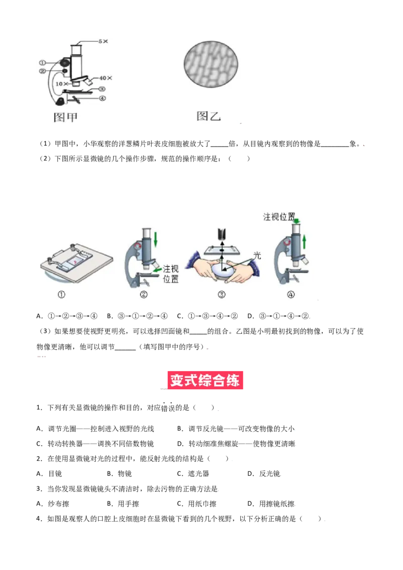 必考点06练习使用显微镜-（人教版）（原卷版）_初中全科电子版试卷练习试题_生物_生物人教版7上练习&mdash;24新版已更新_人教生物7年级上专项练习28份