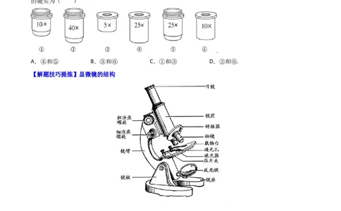 必考点06练习使用显微镜-（人教版）（原卷版）_初中全科电子版试卷练习试题_生物_生物人教版7上练习&mdash;24新版已更新_人教生物7年级上专项练习28份