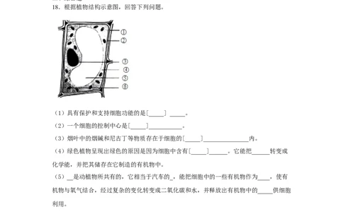 期末检测卷03-（人教版）（原卷版）_初中全科电子版试卷练习试题_生物_生物人教版7上练习&mdash;24新版已更新_人教生物7年级上期末试卷11份