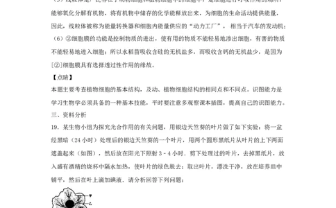 期末检测卷03-（人教版）（原卷版）_初中全科电子版试卷练习试题_生物_生物人教版7上练习&mdash;24新版已更新_人教生物7年级上期末试卷11份