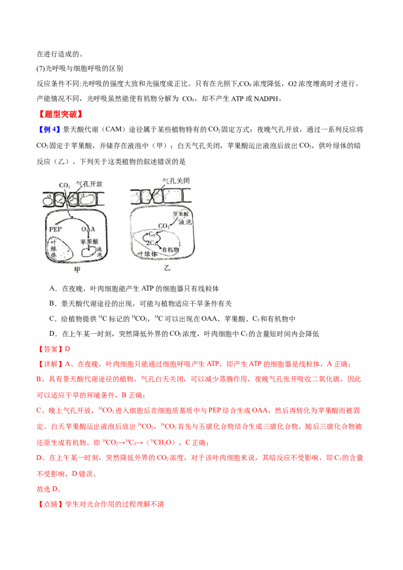专题二细胞代谢（解析版）_2025年新高考资料_二轮复习_举一反三2025年高考生物二轮重点专题讲义（新高考通用）3442769