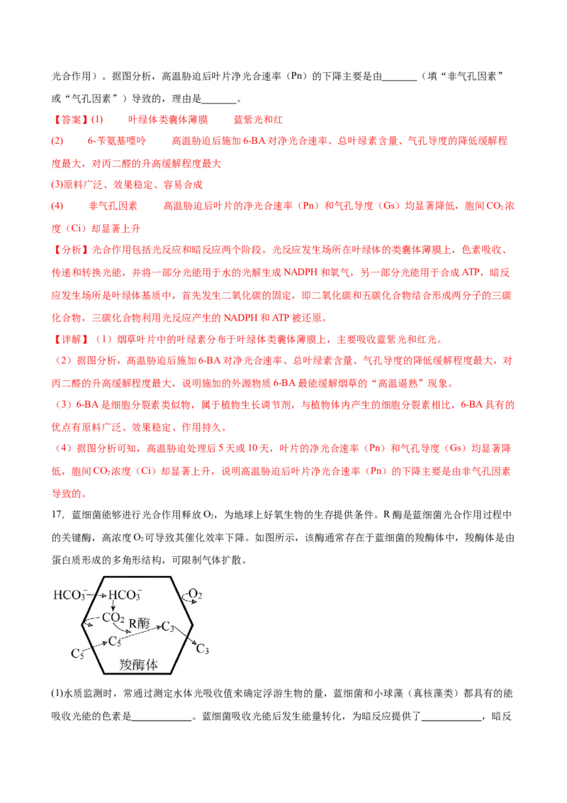专题二细胞代谢（解析版）_2025年新高考资料_二轮复习_举一反三2025年高考生物二轮重点专题讲义（新高考通用）3442769