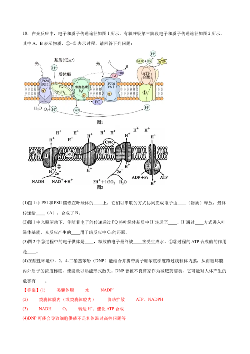 专题二细胞代谢（解析版）_2025年新高考资料_二轮复习_举一反三2025年高考生物二轮重点专题讲义（新高考通用）3442769