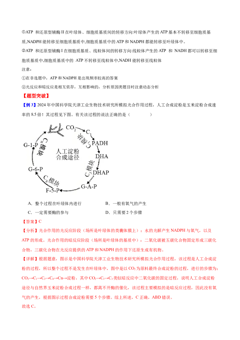 专题二细胞代谢（解析版）_2025年新高考资料_二轮复习_举一反三2025年高考生物二轮重点专题讲义（新高考通用）3442769