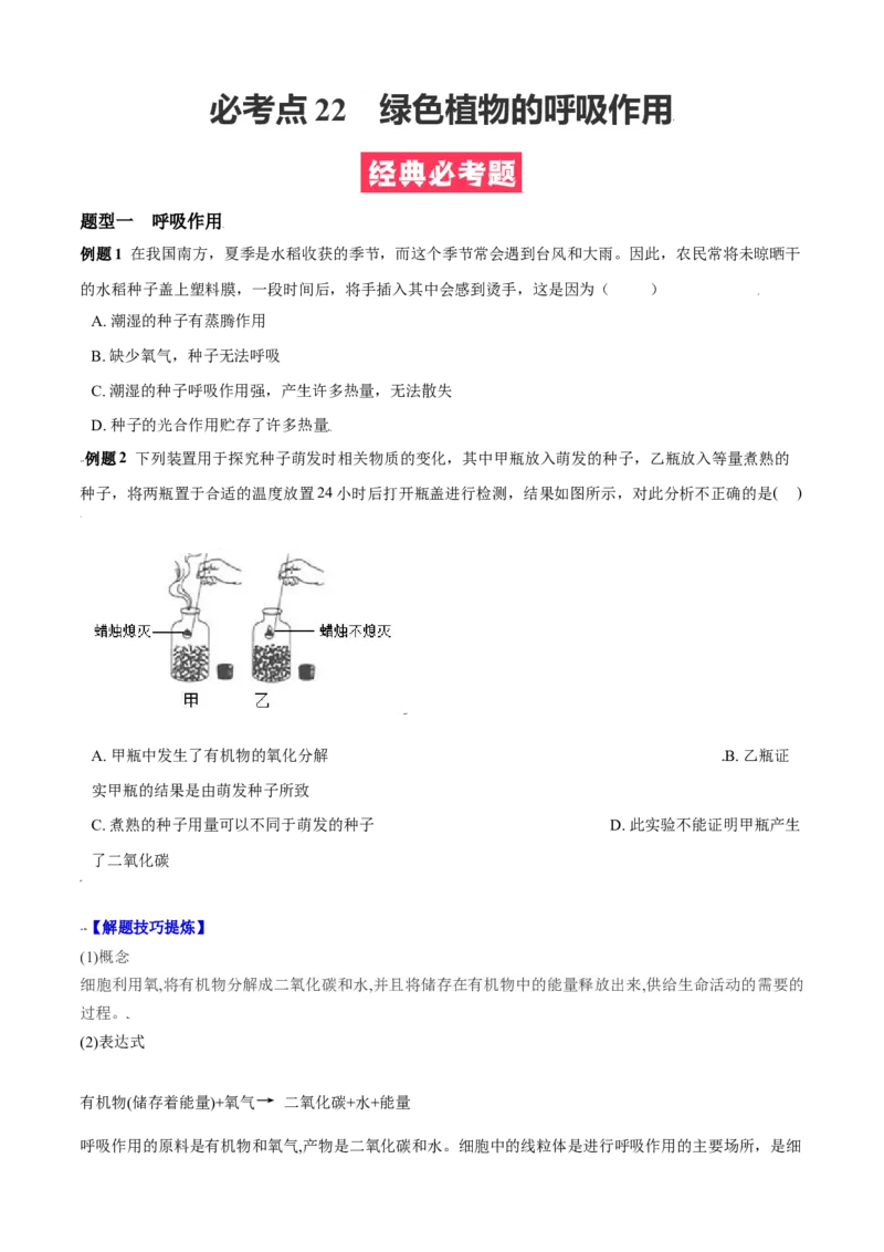 必考点22绿色植物的呼吸作用-（人教版）（原卷版）_初中全科电子版试卷练习试题_生物_生物人教版7上练习&mdash;24新版已更新_人教生物7年级上专项练习28份