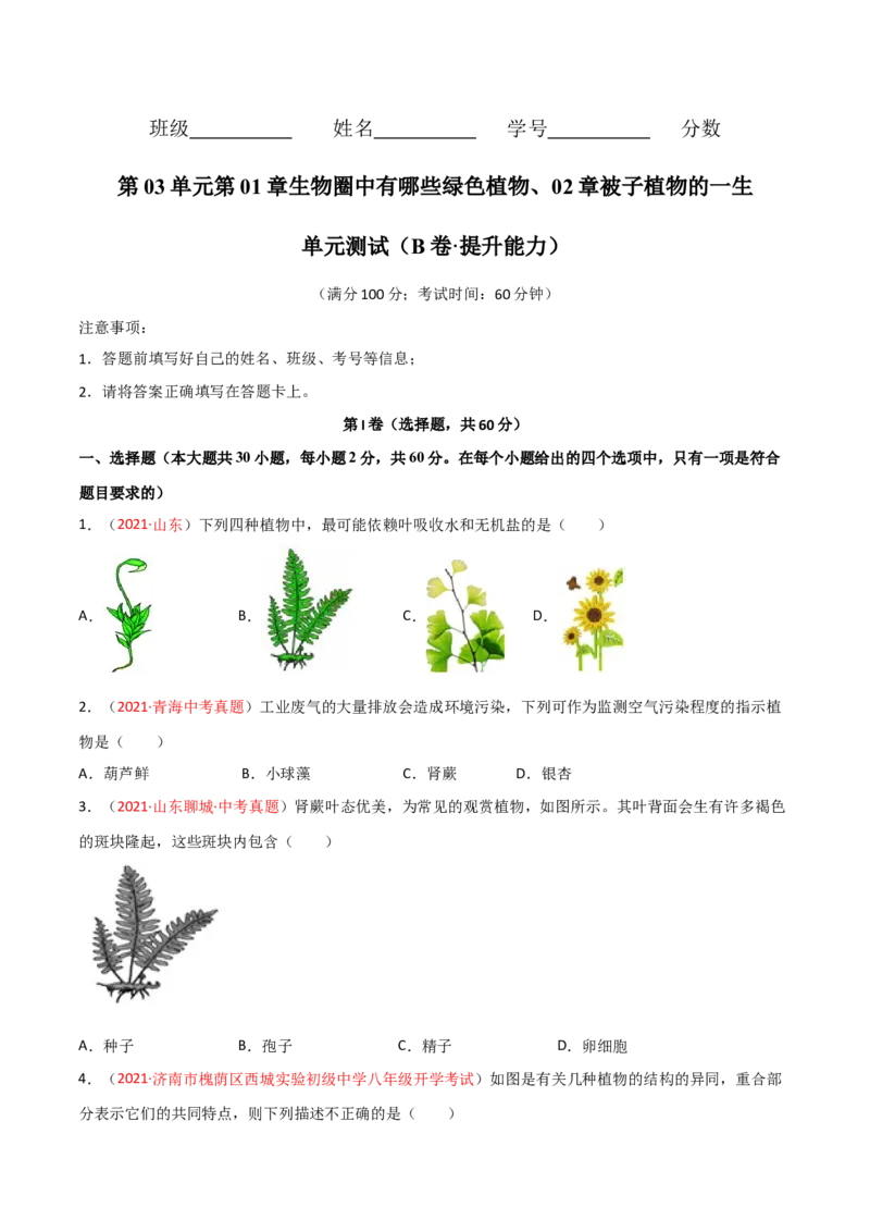 第03单元第01章生物圈中有哪些绿色植物、02章被子植物的一生单元测试（B卷&middot;提升能力）（原卷版）_初中全科电子版试卷练习试题_生物_生物人教版7上练习&mdash;24新版已更新
