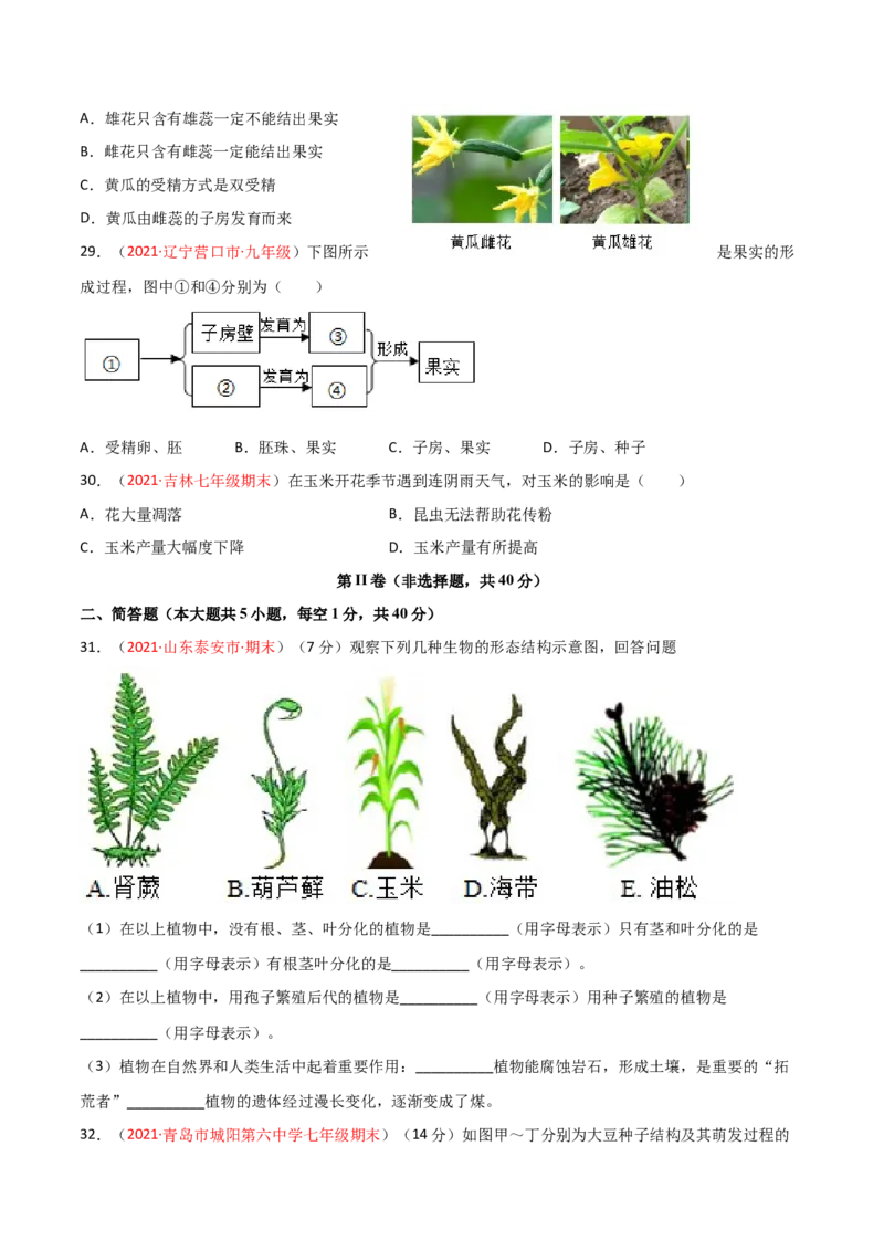 第03单元第01章生物圈中有哪些绿色植物、02章被子植物的一生单元测试（B卷&middot;提升能力）（原卷版）_初中全科电子版试卷练习试题_生物_生物人教版7上练习&mdash;24新版已更新