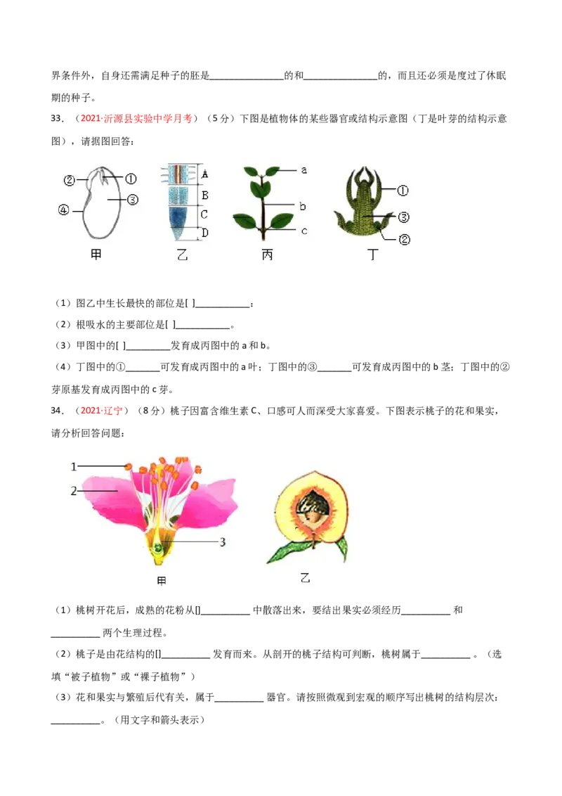 第03单元第01章生物圈中有哪些绿色植物、02章被子植物的一生单元测试（B卷&middot;提升能力）（原卷版）_初中全科电子版试卷练习试题_生物_生物人教版7上练习&mdash;24新版已更新