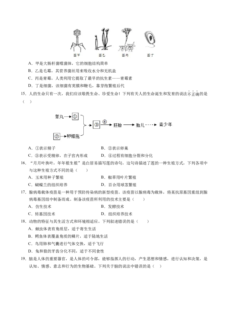 生物（河南卷）（考试版A4）_初中全科电子版试卷练习试题_生物_2024中考模拟题生物(1)_三模（37套）_生物（河南卷）