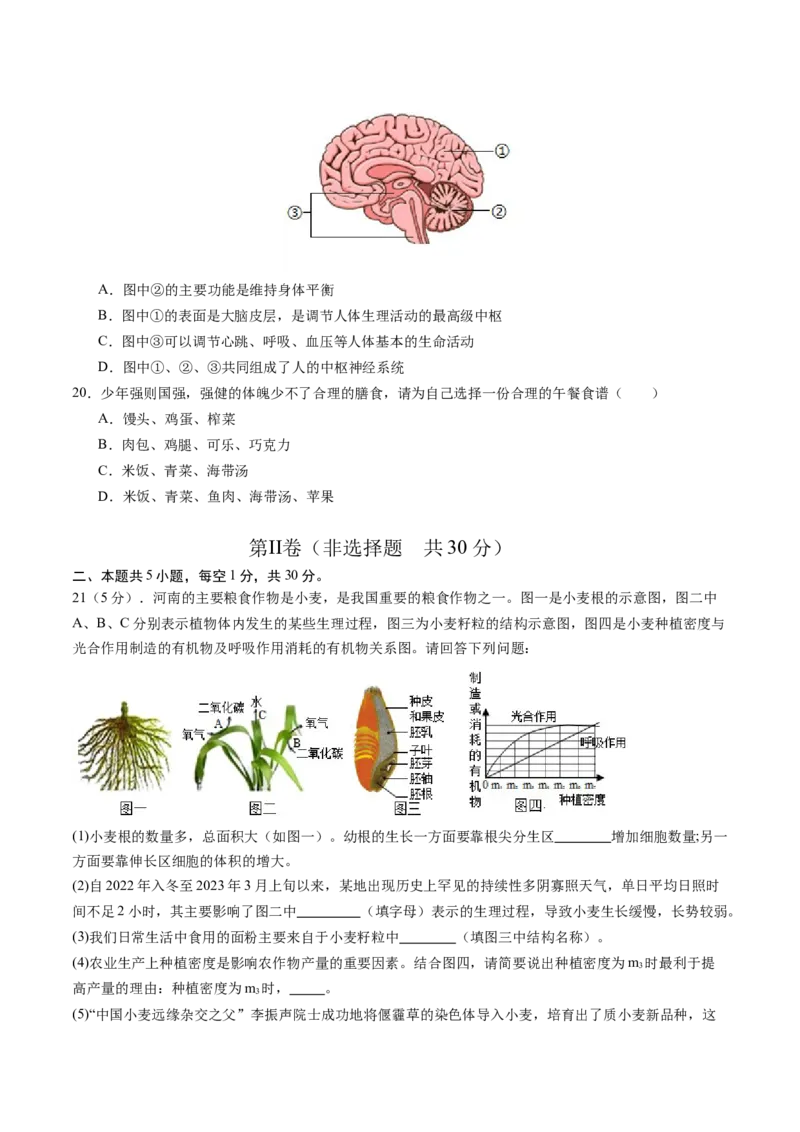 生物（河南卷）（考试版A4）_初中全科电子版试卷练习试题_生物_2024中考模拟题生物(1)_三模（37套）_生物（河南卷）