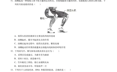 生物（河南卷）（考试版A4）_初中全科电子版试卷练习试题_生物_2024中考模拟题生物(1)_三模（37套）_生物（河南卷）