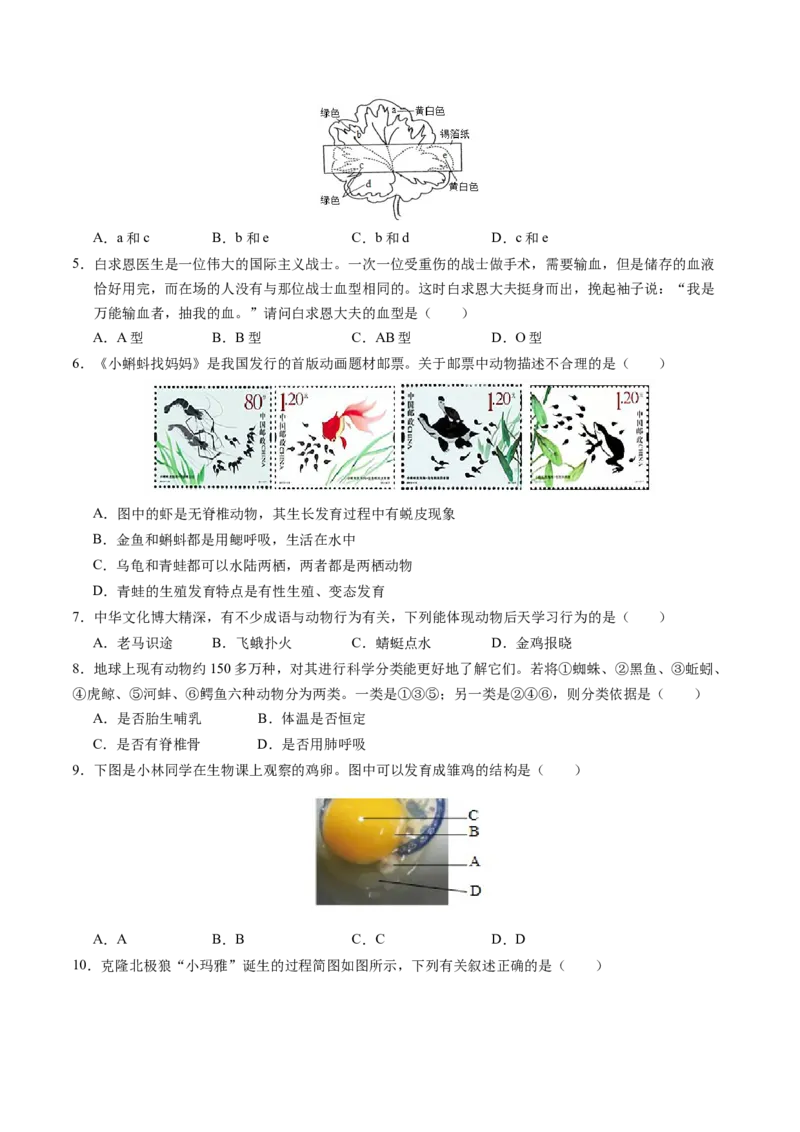 生物（徐州卷）（考试版A4）_初中全科电子版试卷练习试题_生物_2024中考模拟题生物(1)_二模_生物（徐州卷）-：2024年中考第二次模拟考试