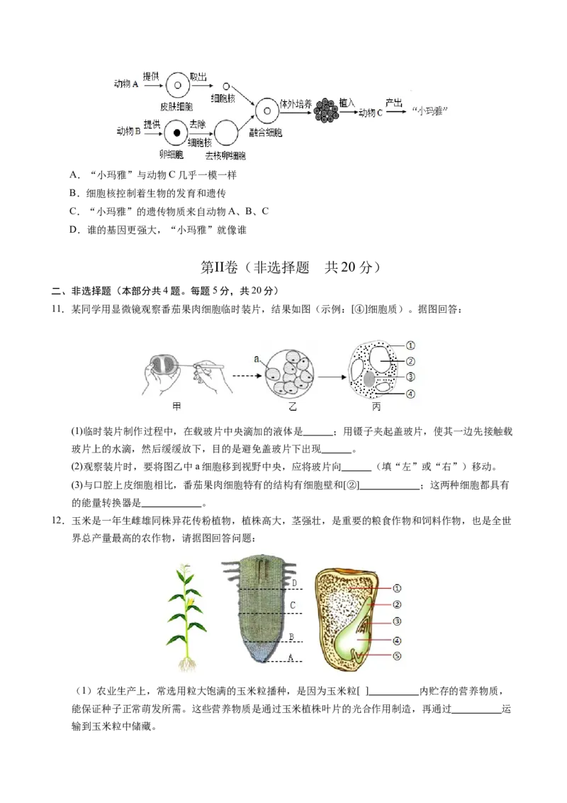 生物（徐州卷）（考试版A4）_初中全科电子版试卷练习试题_生物_2024中考模拟题生物(1)_二模_生物（徐州卷）-：2024年中考第二次模拟考试