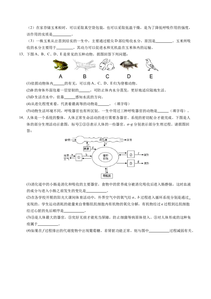生物（徐州卷）（考试版A4）_初中全科电子版试卷练习试题_生物_2024中考模拟题生物(1)_二模_生物（徐州卷）-：2024年中考第二次模拟考试