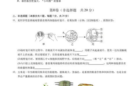 生物（徐州卷）（考试版A4）_初中全科电子版试卷练习试题_生物_2024中考模拟题生物(1)_二模_生物（徐州卷）-：2024年中考第二次模拟考试